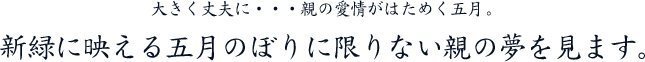 大きく丈夫に・・・親の愛情がはためく五月.新緑に映える五月のぼりに限りない親の夢を見ます