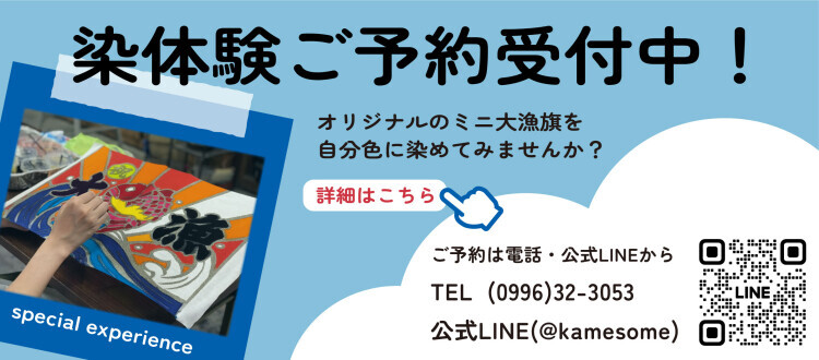 染体験